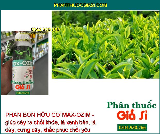 PHÂN BÓN HỮU CƠ MAX-OZIM - Kích Thích Ra Rễ - Cải Tạo Đất - Lá Xanh Bền - Dưỡng Trái Lớn