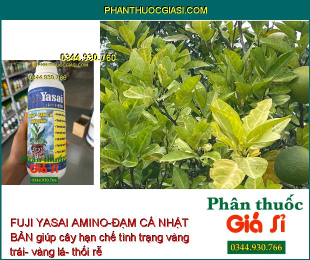 PHÂN BÓN SINH HỌC FUJI YASAI AMINO-ĐẠM CÁ NHẬT BẢN - Phục Hồi Cây Nhanh - Giảm Rụng Hoa - Kích Rễ Phát Triển