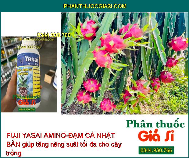 PHÂN BÓN SINH HỌC FUJI YASAI AMINO-ĐẠM CÁ NHẬT BẢN - Phục Hồi Cây Nhanh - Giảm Rụng Hoa - Kích Rễ Phát Triển