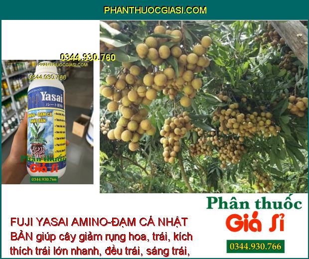 PHÂN BÓN SINH HỌC FUJI YASAI AMINO-ĐẠM CÁ NHẬT BẢN - Phục Hồi Cây Nhanh - Giảm Rụng Hoa - Kích Rễ Phát Triển