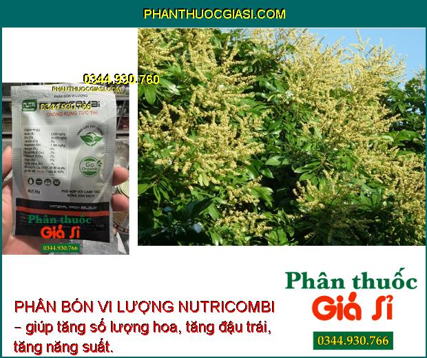 PHÂN BÓN VI LƯỢNG NUTRICOMBI – TĂNG ĐẬU TRÁI – TĂNG LƯỢNG HOA – TĂNG CHẤT LƯỢNG TRÁI