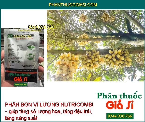 PHÂN BÓN VI LƯỢNG NUTRICOMBI – TĂNG ĐẬU TRÁI – TĂNG LƯỢNG HOA – TĂNG CHẤT LƯỢNG TRÁI