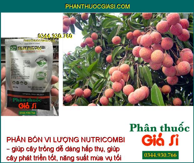 PHÂN BÓN VI LƯỢNG NUTRICOMBI – TĂNG ĐẬU TRÁI – TĂNG LƯỢNG HOA – TĂNG CHẤT LƯỢNG TRÁI