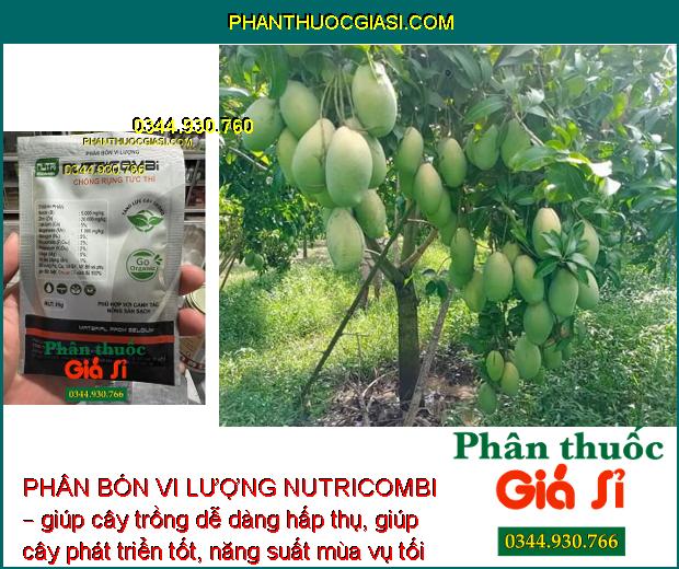 PHÂN BÓN VI LƯỢNG NUTRICOMBI – TĂNG ĐẬU TRÁI – TĂNG LƯỢNG HOA – TĂNG CHẤT LƯỢNG TRÁI