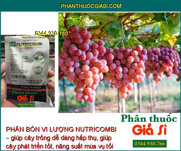 PHÂN BÓN VI LƯỢNG NUTRICOMBI – TĂNG ĐẬU TRÁI – TĂNG LƯỢNG HOA – TĂNG CHẤT LƯỢNG TRÁI