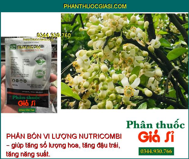 PHÂN BÓN VI LƯỢNG NUTRICOMBI – TĂNG ĐẬU TRÁI – TĂNG LƯỢNG HOA – TĂNG CHẤT LƯỢNG TRÁI