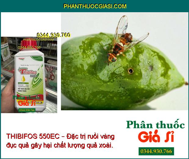 THIBIFOS 550EC – Đặc Trị Sâu Rầy Đã Kháng Thuốc