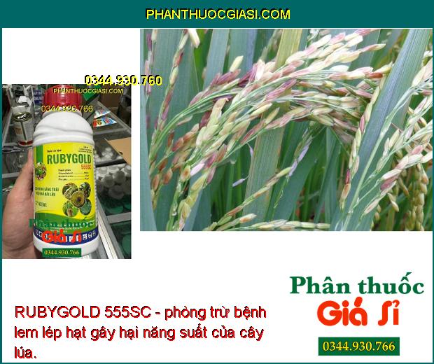 RUBYGOLD 555SC - Đặc Trị Lem Lép Hạt Trên Lúa