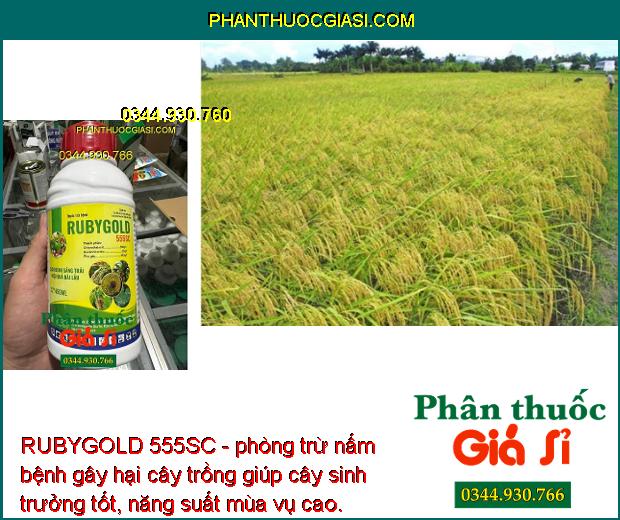 RUBYGOLD 555SC - Đặc Trị Lem Lép Hạt Trên Lúa