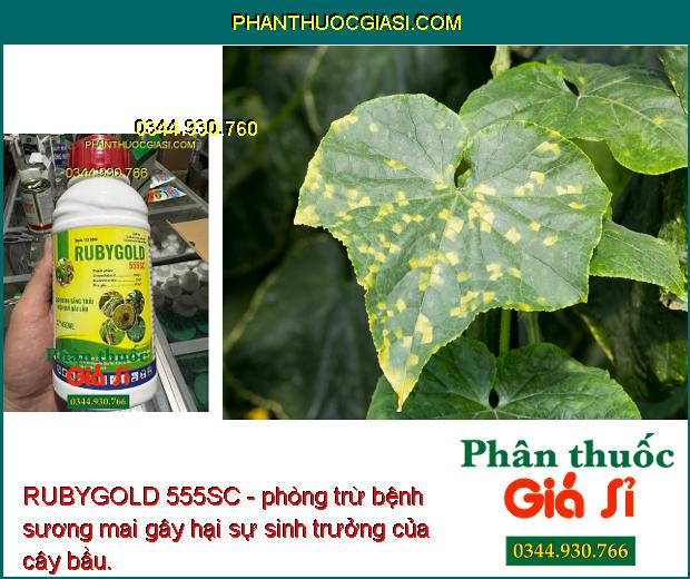 RUBYGOLD 555SC - Đặc Trị Lem Lép Hạt Trên Lúa