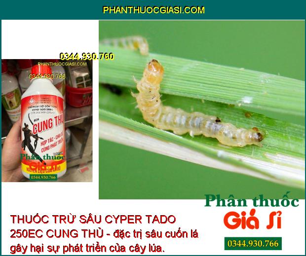 THUỐC TRỪ SÂU CYPER TADO 250EC CUNG THỦ - Đặc Trị Các Loại Côn Trùng Gây Hại