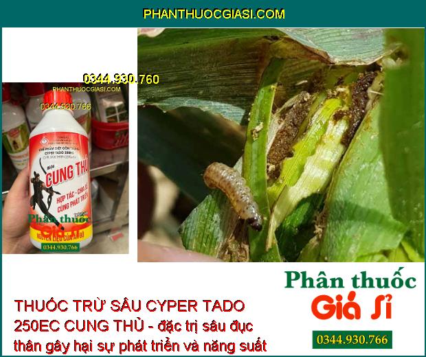 THUỐC TRỪ SÂU CYPER TADO 250EC CUNG THỦ - Đặc Trị Các Loại Côn Trùng Gây Hại