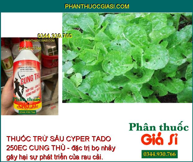 THUỐC TRỪ SÂU CYPER TADO 250EC CUNG THỦ - Đặc Trị Các Loại Côn Trùng Gây Hại