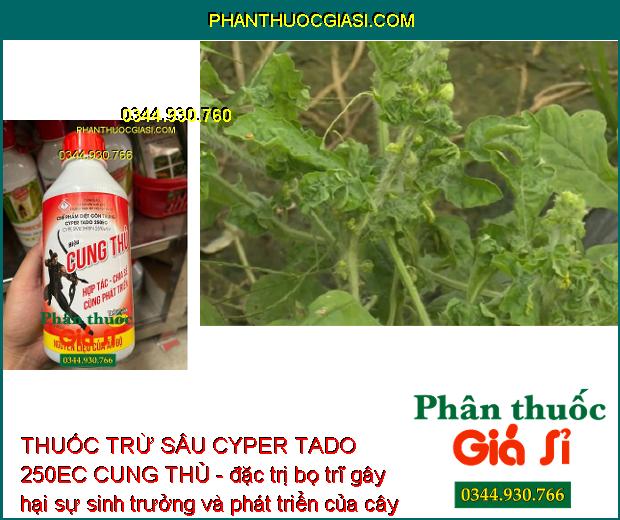 THUỐC TRỪ SÂU CYPER TADO 250EC CUNG THỦ - Đặc Trị Các Loại Côn Trùng Gây Hại