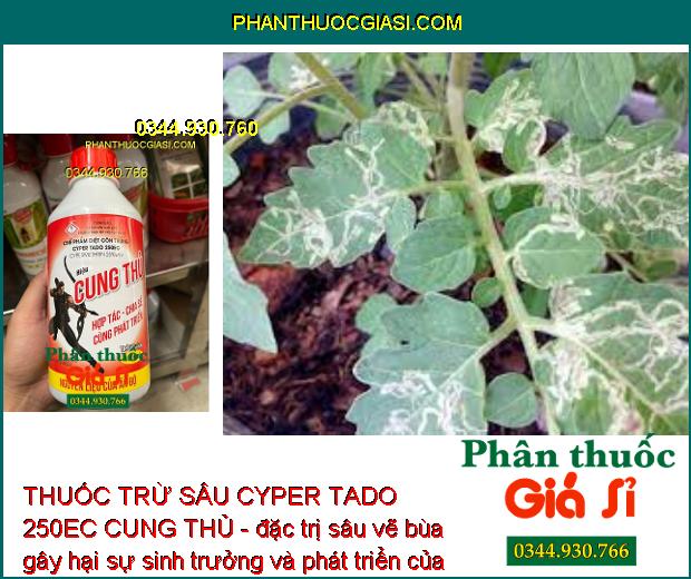 THUỐC TRỪ SÂU CYPER TADO 250EC CUNG THỦ - Đặc Trị Các Loại Côn Trùng Gây Hại