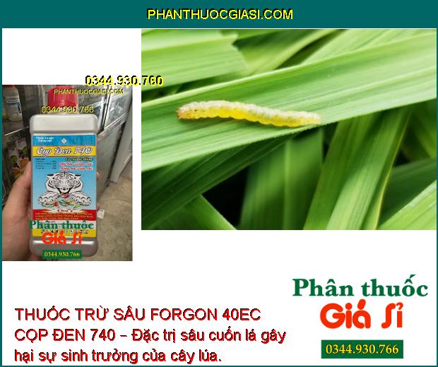 THUỐC TRỪ SÂU FORGON 40EC CỌP ĐEN 740 – Đặc Trị Sâu Cuốn Lá - Tuyến Trùng - Rệp Sáp - Bọ Hà - Sâu Đục Thân