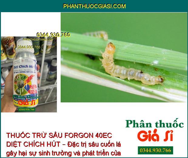 THUỐC TRỪ SÂU FORGON 40EC DIỆT CHÍCH HÚT – Đặc Trị Côn Trùng Chích Hút Và Miệng Nhai