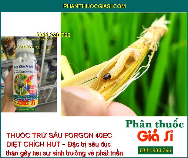 THUỐC TRỪ SÂU FORGON 40EC DIỆT CHÍCH HÚT – Đặc Trị Côn Trùng Chích Hút Và Miệng Nhai