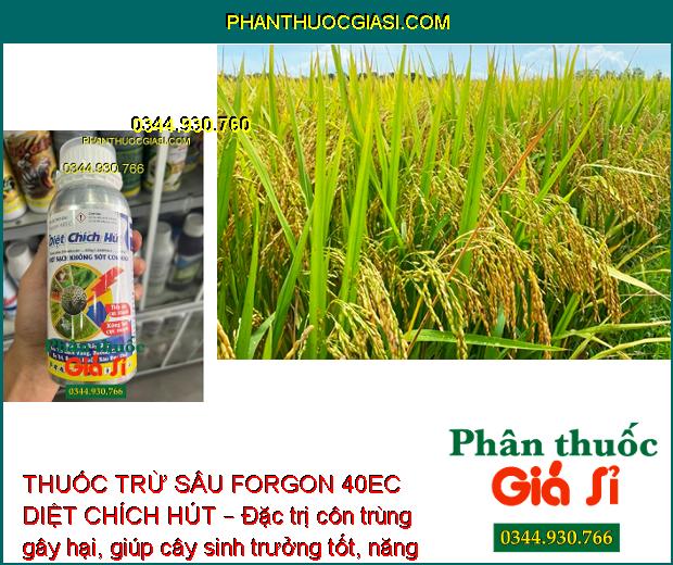 THUỐC TRỪ SÂU FORGON 40EC DIỆT CHÍCH HÚT – Đặc Trị Côn Trùng Chích Hút Và Miệng Nhai