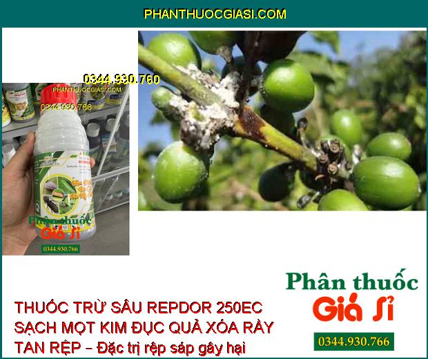 THUỐC TRỪ SÂU REPDOR 250EC SẠCH MỌT KIM ĐỤC QUẢ XÓA RẦY TAN RỆP – Đặc Trị Côn Trùng Gây Hại 