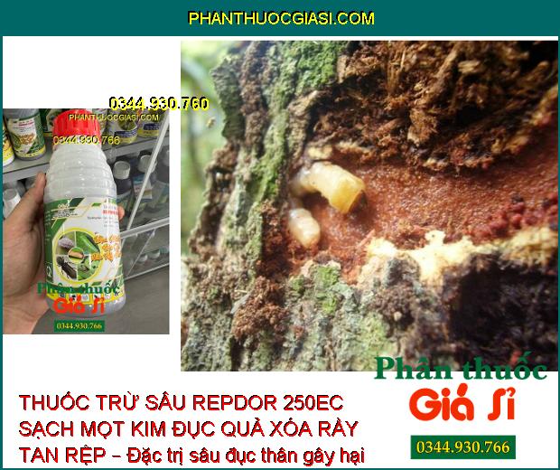 THUỐC TRỪ SÂU REPDOR 250EC SẠCH MỌT KIM ĐỤC QUẢ XÓA RẦY TAN RỆP – Đặc Trị Côn Trùng Gây Hại 