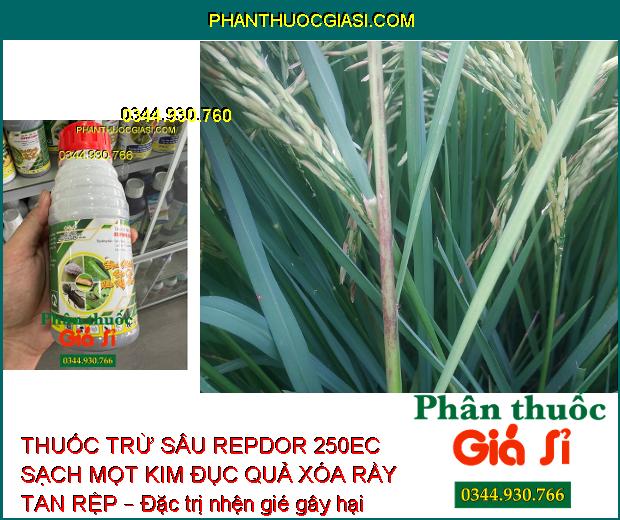 THUỐC TRỪ SÂU REPDOR 250EC SẠCH MỌT KIM ĐỤC QUẢ XÓA RẦY TAN RỆP – Đặc Trị Côn Trùng Gây Hại 