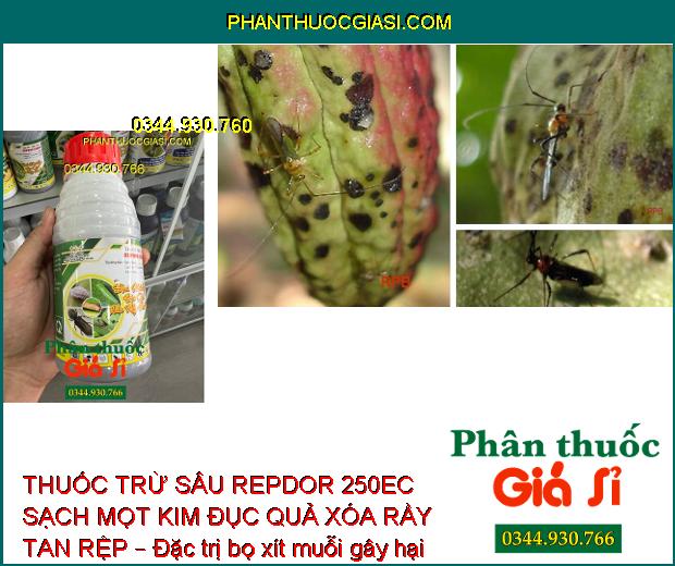 THUỐC TRỪ SÂU REPDOR 250EC SẠCH MỌT KIM ĐỤC QUẢ XÓA RẦY TAN RỆP – Đặc Trị Côn Trùng Gây Hại 