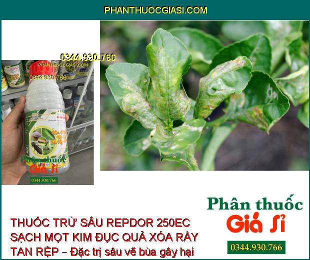 THUỐC TRỪ SÂU REPDOR 250EC SẠCH MỌT KIM ĐỤC QUẢ XÓA RẦY TAN RỆP – Đặc Trị Côn Trùng Gây Hại 