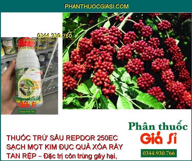 THUỐC TRỪ SÂU REPDOR 250EC SẠCH MỌT KIM ĐỤC QUẢ XÓA RẦY TAN RỆP – Đặc Trị Côn Trùng Gây Hại 