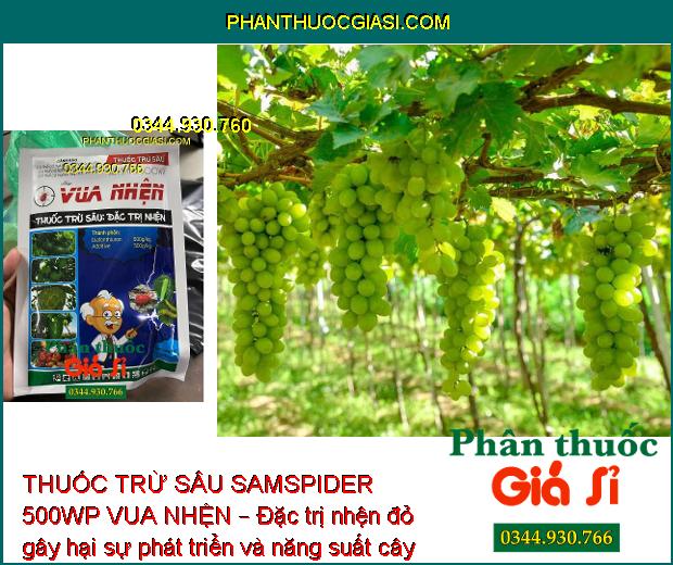 THUỐC TRỪ SÂU SAMSPIDER 500WP VUA NHỆN – Đặc Trị Nhện Trên Cây Nho