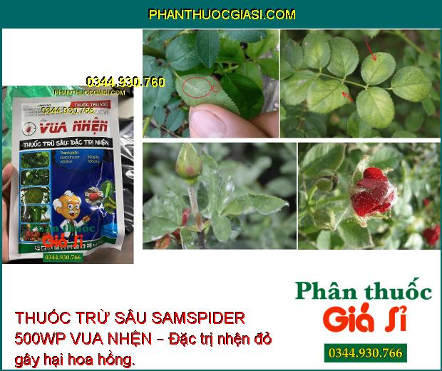 THUỐC TRỪ SÂU SAMSPIDER 500WP VUA NHỆN – Đặc Trị Nhện Trên Cây Nho