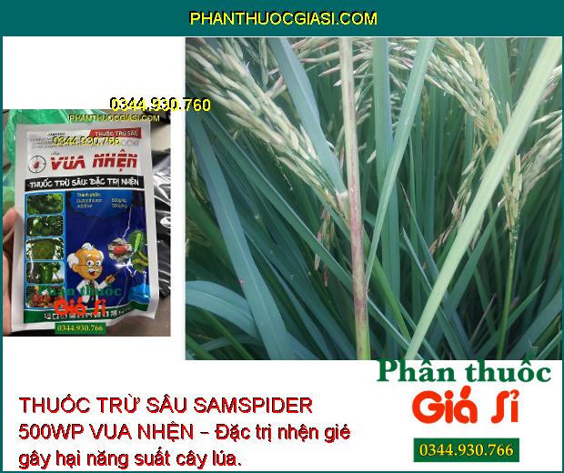 THUỐC TRỪ SÂU SAMSPIDER 500WP VUA NHỆN – Đặc Trị Nhện Trên Cây Nho