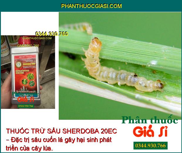 THUỐC TRỪ SÂU SHERDOBA 20EC – Đặc Trị Các Loại Sâu Bệnh Gây Hại Cây Trồng