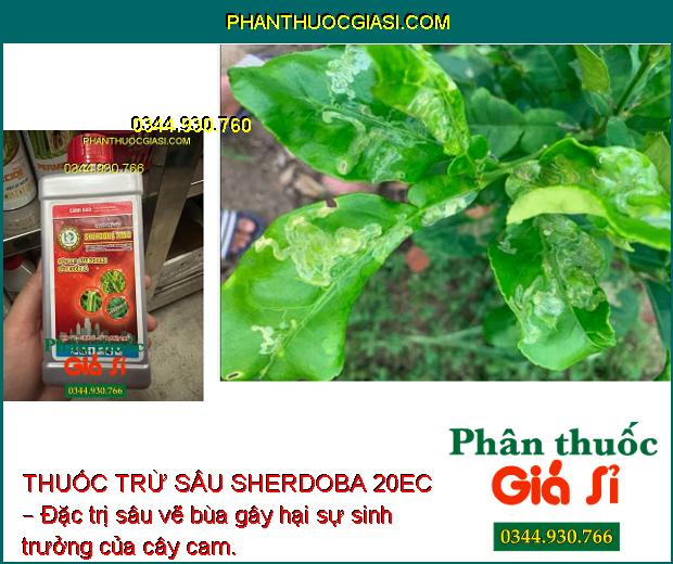 THUỐC TRỪ SÂU SHERDOBA 20EC – Đặc Trị Các Loại Sâu Bệnh Gây Hại Cây Trồng