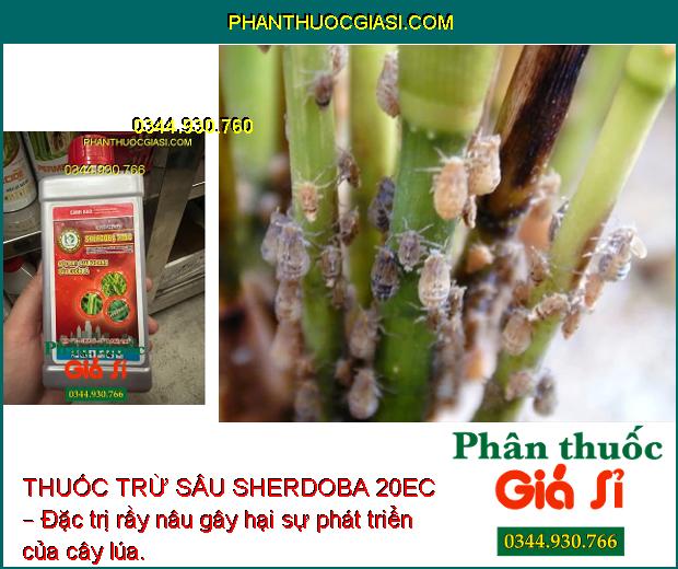 THUỐC TRỪ SÂU SHERDOBA 20EC – Đặc Trị Các Loại Sâu Bệnh Gây Hại Cây Trồng