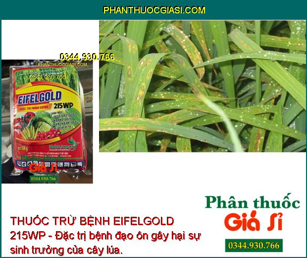 THUỐC TRỪ BỆNH EIFELGOLD 215WP - Đặc Trị Nấm Bệnh - Đạo Ôn - Thán Thư - Chết Nhanh