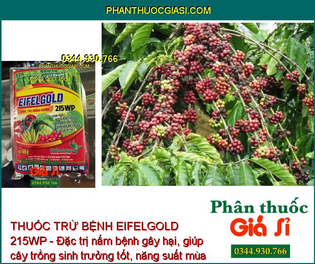 THUỐC TRỪ BỆNH EIFELGOLD 215WP - Đặc Trị Nấm Bệnh - Đạo Ôn - Thán Thư - Chết Nhanh