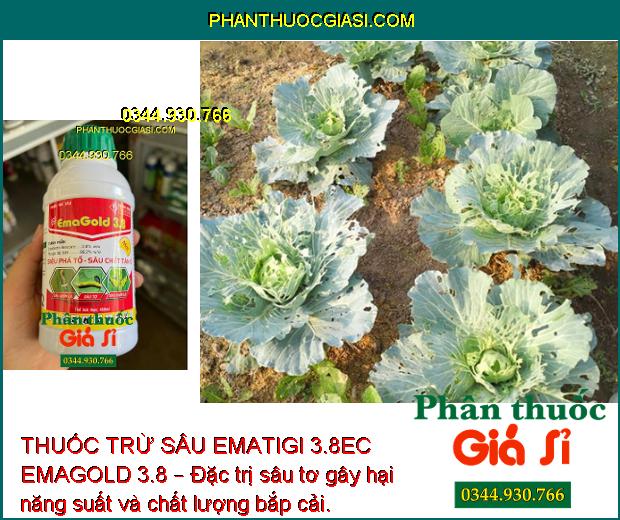 THUỐC TRỪ SÂU EMATIGI 3.8EC EMAGOLD 3.8 – Đặc Trị Các Loại Sâu Gây Hại Cây Trồng