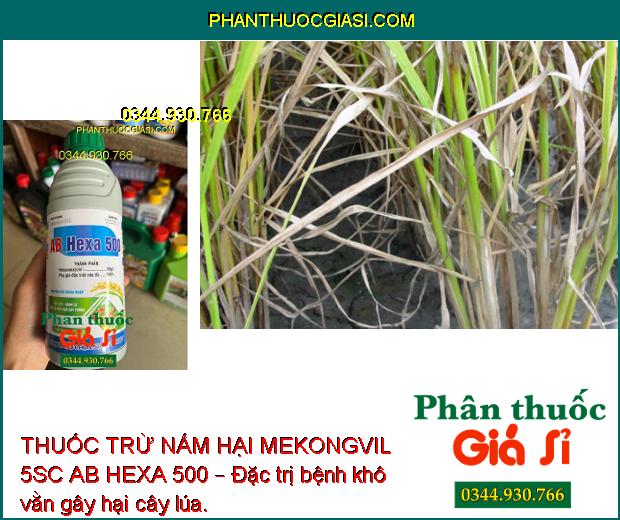 THUỐC TRỪ NẤM HẠI MEKONGVIL 5SC AB HEXA 500 – Đặc trị nấm bệnh hại cây trồng, giúp cây sinh trưởng tốt, năng suất cao.