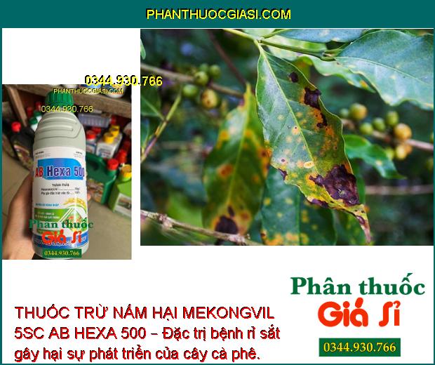 THUỐC TRỪ NẤM HẠI MEKONGVIL 5SC AB HEXA 500 – Đặc trị nấm bệnh hại cây trồng, giúp cây sinh trưởng tốt, năng suất cao.