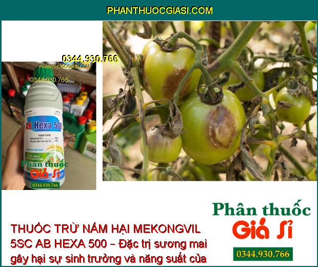 THUỐC TRỪ NẤM HẠI MEKONGVIL 5SC AB HEXA 500 – Đặc trị nấm bệnh hại cây trồng, giúp cây sinh trưởng tốt, năng suất cao.