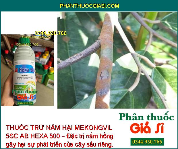 THUỐC TRỪ NẤM HẠI MEKONGVIL 5SC AB HEXA 500 – Đặc trị nấm bệnh hại cây trồng, giúp cây sinh trưởng tốt, năng suất cao.