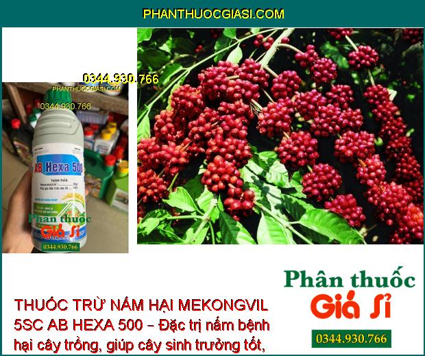 THUỐC TRỪ NẤM HẠI MEKONGVIL 5SC AB HEXA 500 – Đặc trị nấm bệnh hại cây trồng, giúp cây sinh trưởng tốt, năng suất cao.