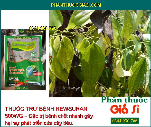 THUỐC TRỪ BỆNH NEWSURAN 500WG – Đặc Trị Bệnh Chết Nhanh Trên Hồ Tiêu