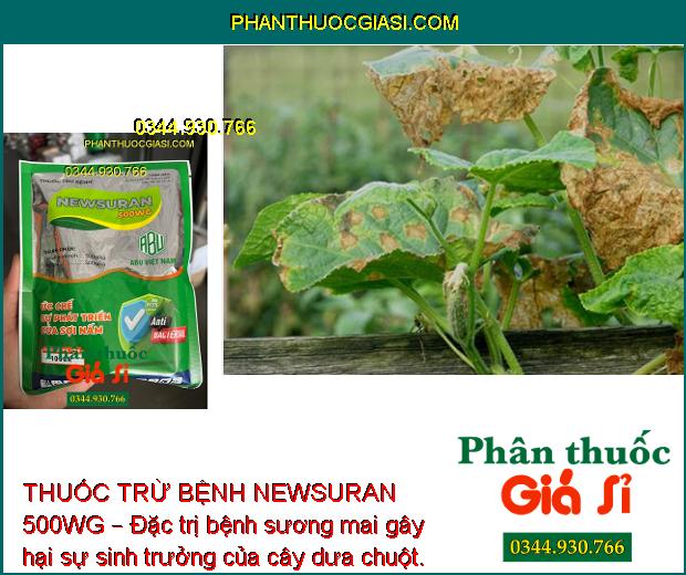 THUỐC TRỪ BỆNH NEWSURAN 500WG – Đặc Trị Bệnh Chết Nhanh Trên Hồ Tiêu