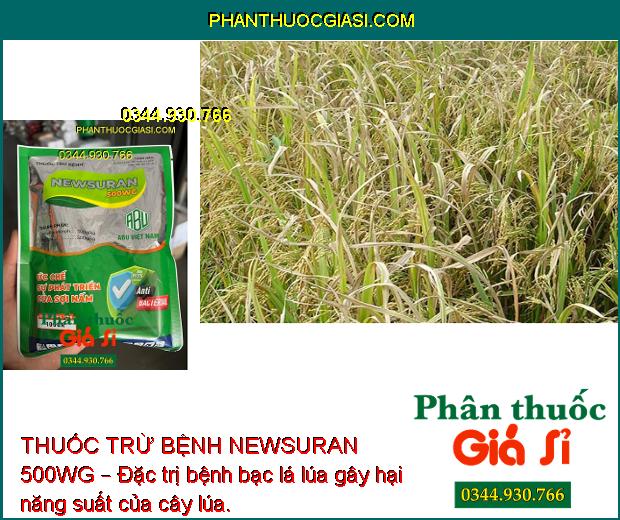 THUỐC TRỪ BỆNH NEWSURAN 500WG – Đặc Trị Bệnh Chết Nhanh Trên Hồ Tiêu