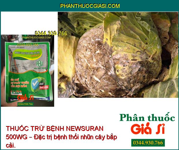 THUỐC TRỪ BỆNH NEWSURAN 500WG – Đặc Trị Bệnh Chết Nhanh Trên Hồ Tiêu