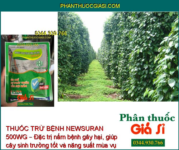 THUỐC TRỪ BỆNH NEWSURAN 500WG – Đặc Trị Bệnh Chết Nhanh Trên Hồ Tiêu