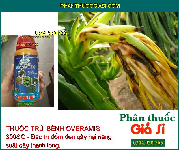 THUỐC TRỪ BỆNH OVERAMIS 300SC - Đặc Trị Các Loại Nấm Gây Hại - Đốm Đen - Sương Mai - Thán Thư