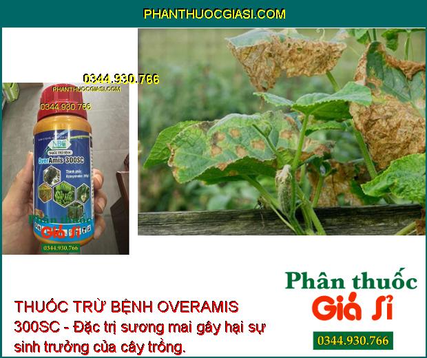 THUỐC TRỪ BỆNH OVERAMIS 300SC - Đặc Trị Các Loại Nấm Gây Hại - Đốm Đen - Sương Mai - Thán Thư